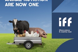 Iff pt 1 1 advertorial