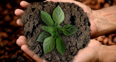 Plant and dirt held in two hands