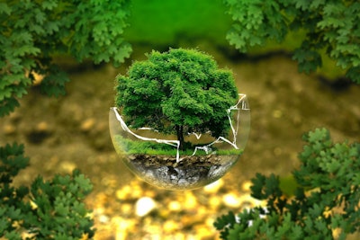 Tree in broken bowl deforestation environmental protection via pixabay feb 2022
