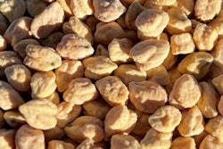Nu Cicer High Protein Chickpea Variety