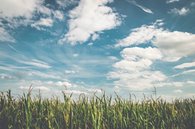 Corn field sunny via pixabay mar 2022