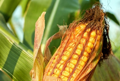 Corn VIA PIXABAY Feb 2021