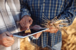 Konstantin Zibert | bigstock.com