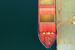 HENRIK A JONSSON | BIGSTOCK