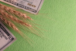 ROMSVETNIK | BIGSTOCK