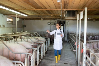 Animal health and disease prevention are top priorities for the swine and feed industries in 2022. (budabar | BigStock.com)