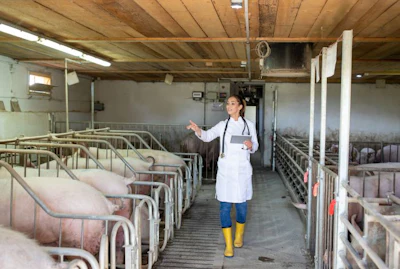 Animal health and disease prevention are top priorities for the swine and feed industries in 2022. (budabar | BigStock.com)