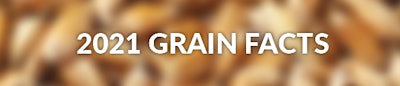 Grain Facts Top image