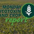 Neogen Monday Mycotoxin Crop report 2022