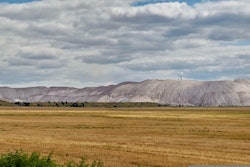 Katarzyna Kosianok | PIXBAY