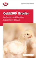 Cobb500Broiler