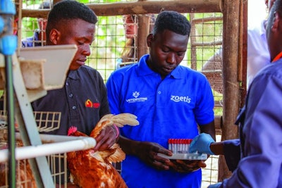 Serology samples to be sent to the RTC laboratory at the Makerere Veterinary University. Zoetis