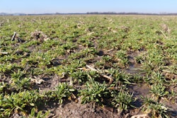 Photo courtesy of Bayer AG