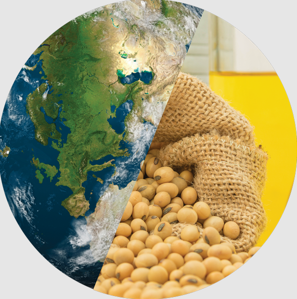 Photo courtesy of SOY CONNEXT