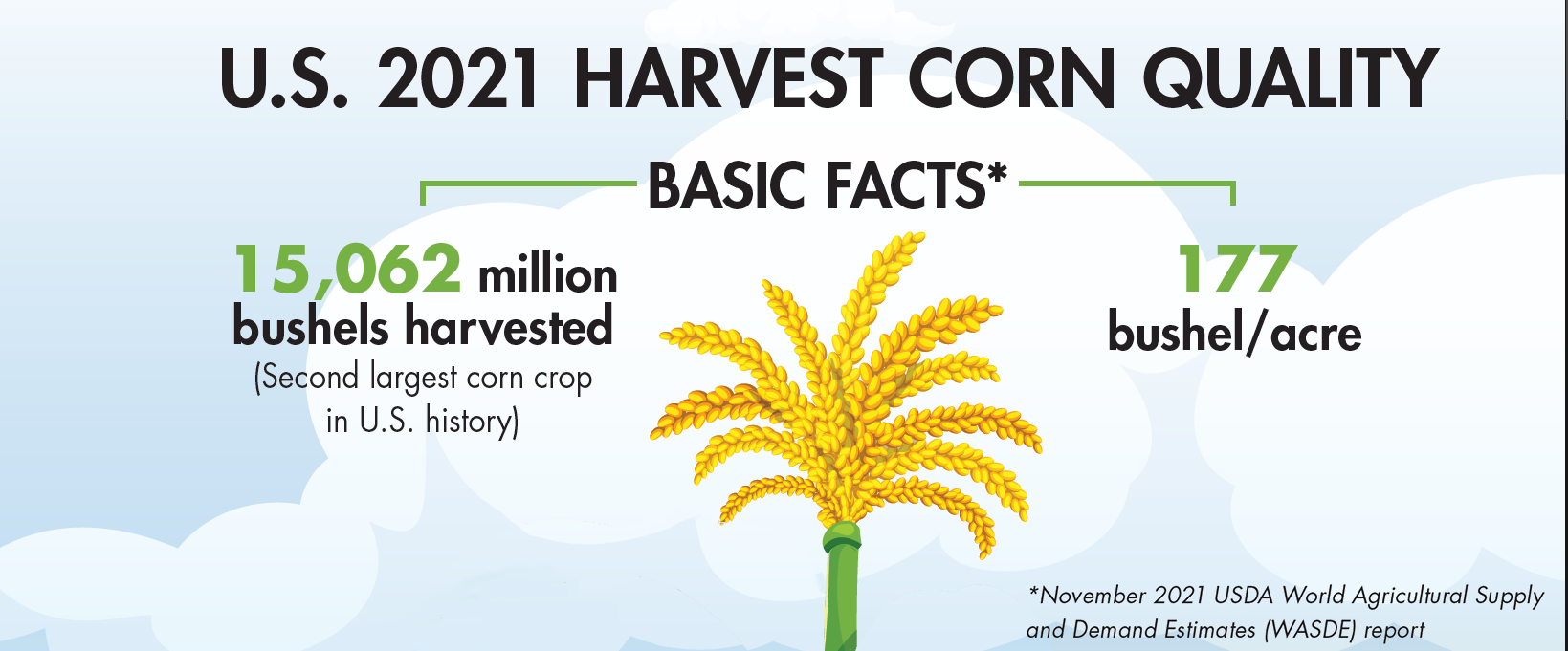 The 2021 U.S. corn harvest was the second largest in the nations history. Producers harvested 15,062 million bushels of corn. Infographic by Tess Stukenberg
