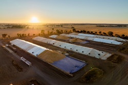 One of Emerald Grain's storage and handling facilities in Elmore, Australia. Photo courtesy of LDC.