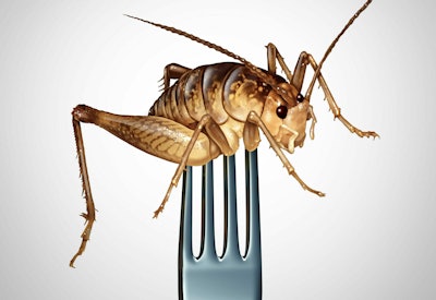 Cricket on fork scaled