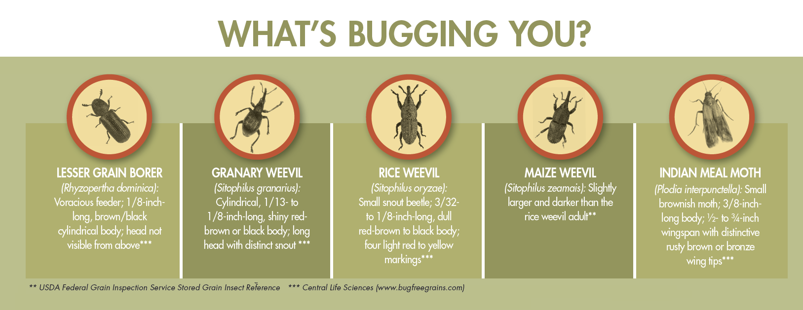 Infographic: Tess Stukenberg and John Henrick I iStock.com