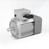 IE5 synchronous motors TEFC