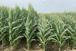 Photo courtesy of Bayer Crop Science