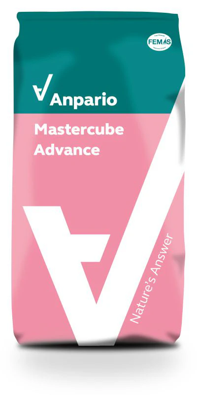 Mastercube Advance Anpario