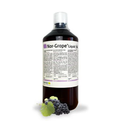 Nor Grape Nor Feed