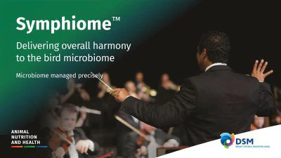 Symphiome Dsm