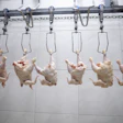 close up of a meat industry interior