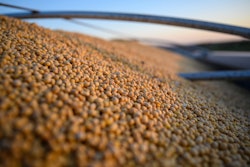 Photo courtesy of United Soybean Board
