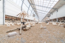 Kipster, an operation that produces carbon neutral eggs, is an example of how sustainability can appeal to consumers. (Courtesy Kipster)