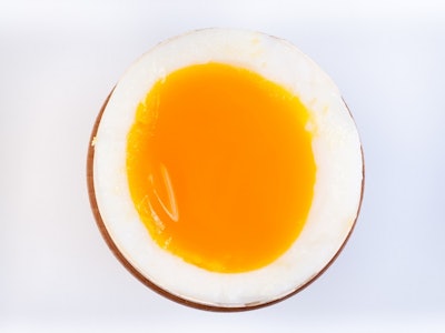 wiktord | Shutterstock.com