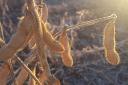 Photo courtesy of Platinum Crush Soy Processing LLC