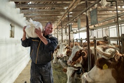 Strong Farmer Carrying Feed Sack