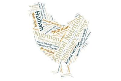 1511PIpoultryguthealth1.jpg
