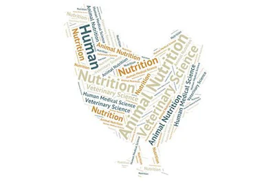 1511PIpoultryguthealth1.jpg