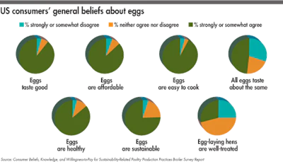 US-consumers-general-beliefs-about-eggs