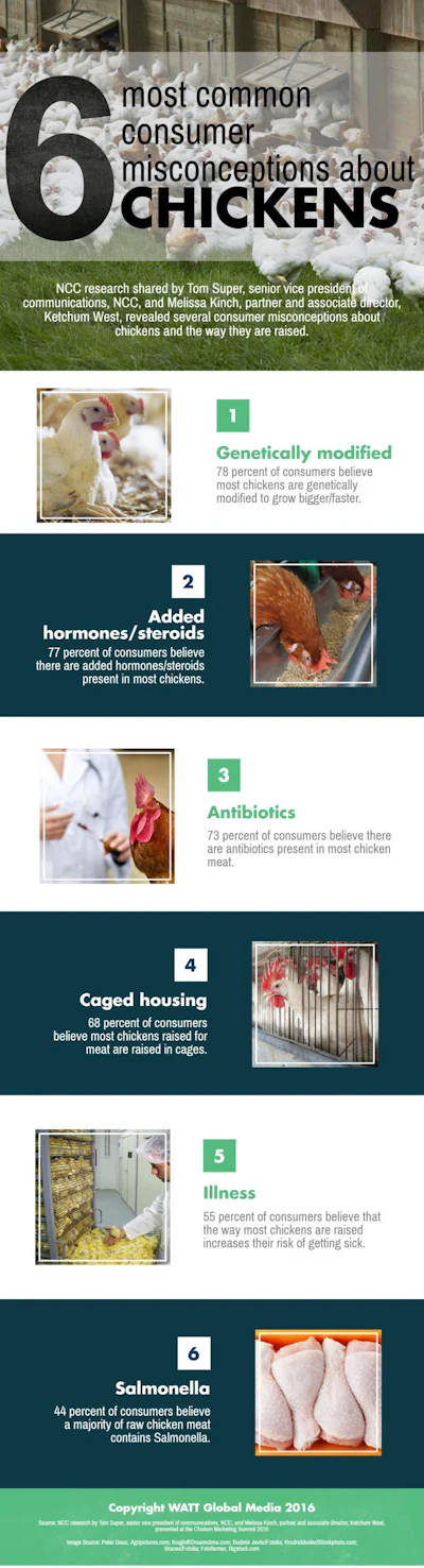 6 most common consumer misconceptions about chickens_INFOGRAPHIC