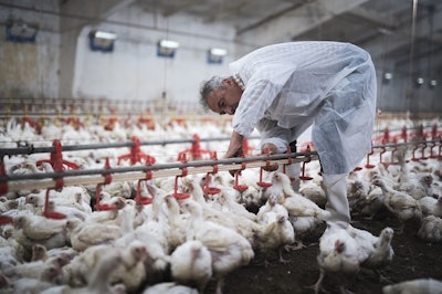 Broiler House Inspector