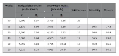Cobb-Figure-2.jpg