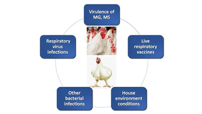 Contributors-to-broiler-chronic-respiratory-disease.jpg