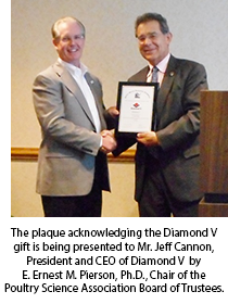 Diamond V