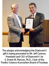 Diamond V
