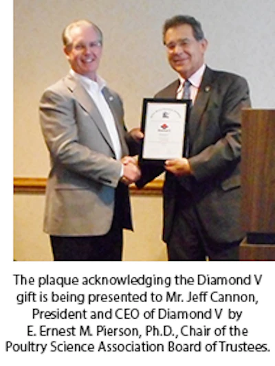 Diamond V