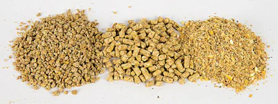 Different-broiler-feed-forms.jpg