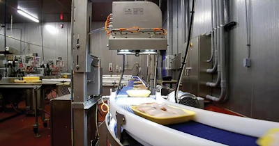 Foodmate-traysort-imaging