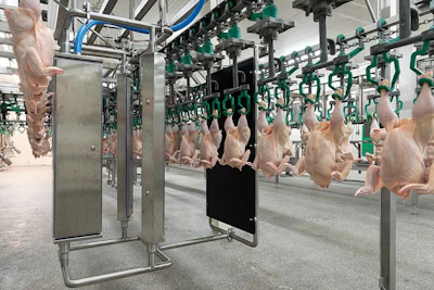 Foodmate-traysort-imaging