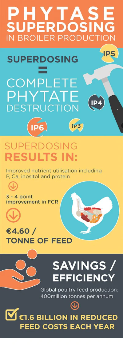 Phytase-Superdosing-infographic-1609PIpoultrysuperdosing1.jpg