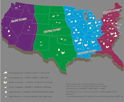 Poultry Production Map with States Labelled.jpg