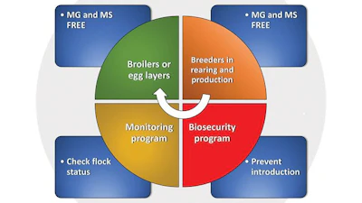 System-providing-mycoplasma-birds-permitting-AB-free-production.jpg