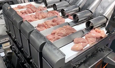 Triangle-Belt-Fed-Weigher_fresh-poultry